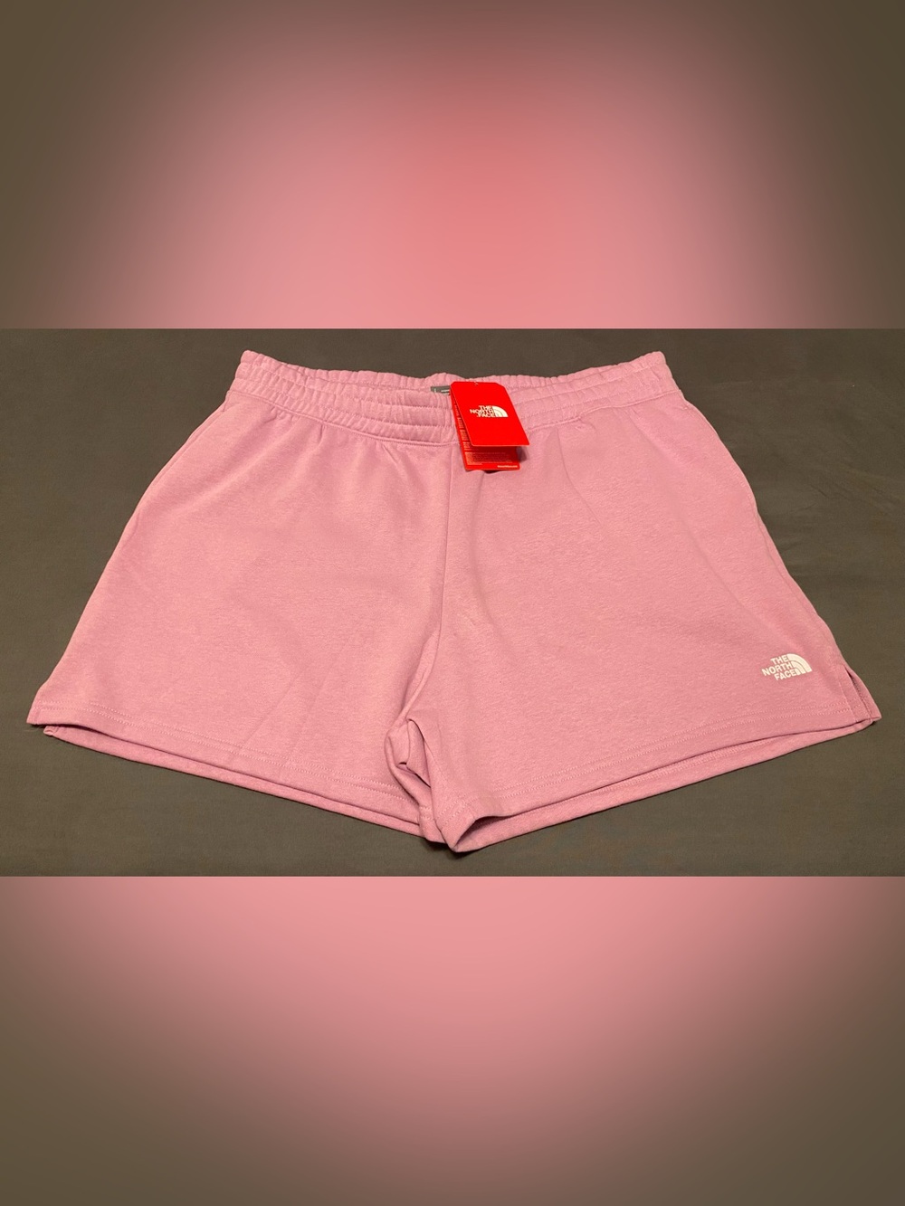 The North Face Evolution Shorts Size 2XL Women’s New With Tags
